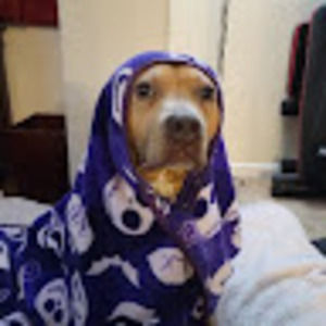 Meet your Posher, Rich & nydia